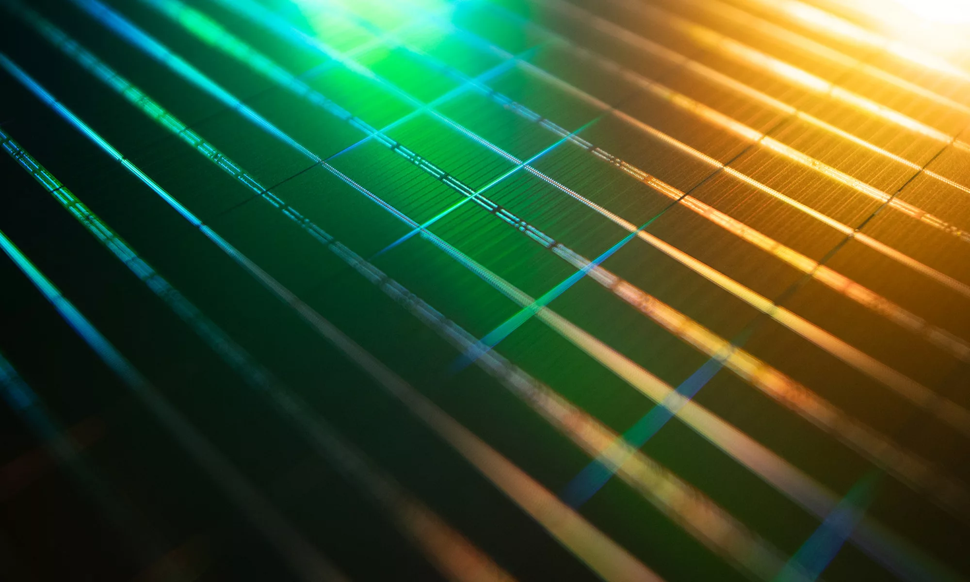 Wafer reflecting green and gold lighting