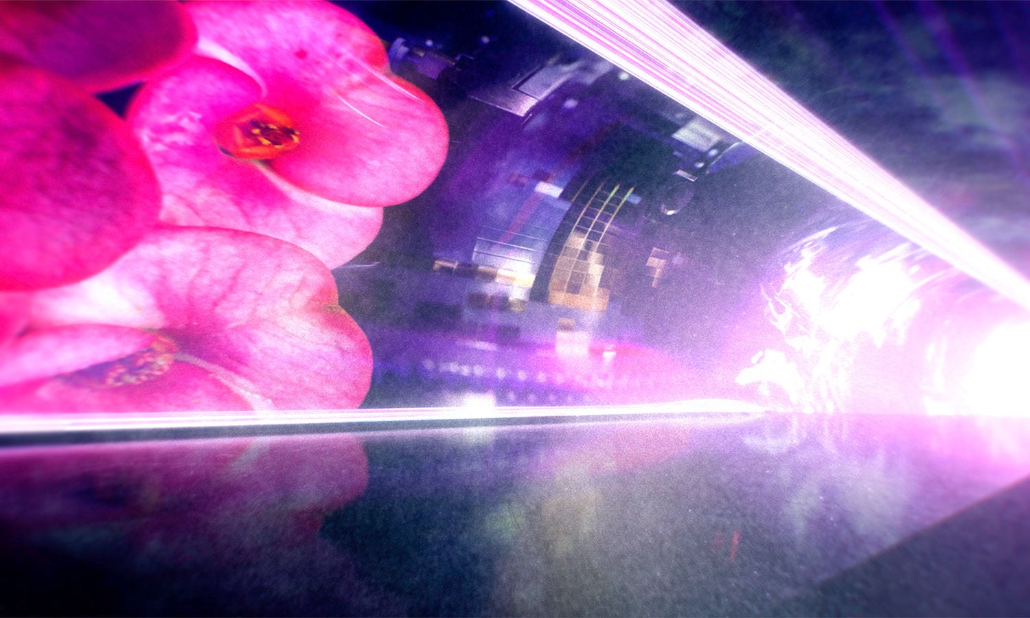 Colorful lights through tunnel